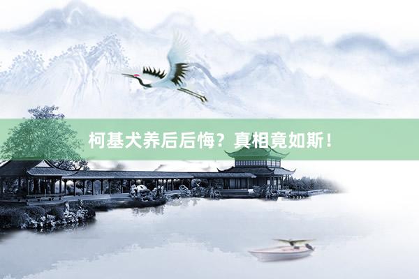 柯基犬养后后悔？真相竟如斯！